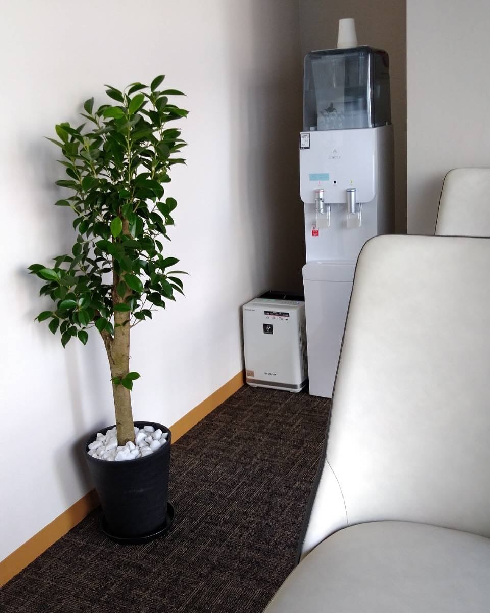 Instagramお客様の観葉植物設置例ご紹介