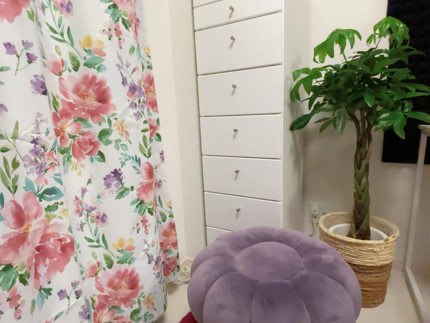 Instagramお客様の観葉植物設置例ご紹介