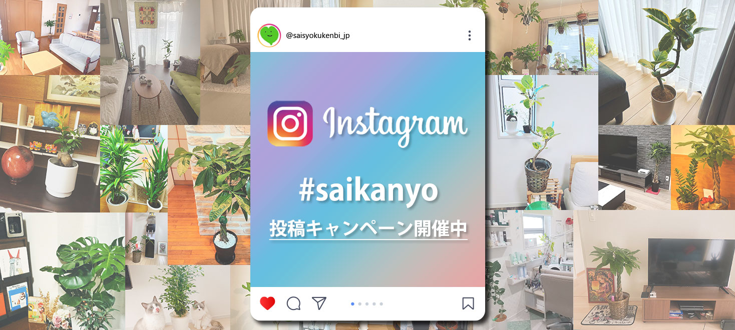 インスタ