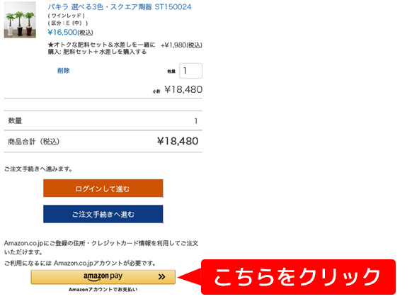 Amazon Payについて