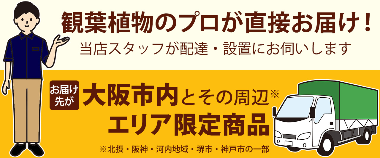 プロがお届け！チャーター便商品（大阪市・近郊エリア限定） 