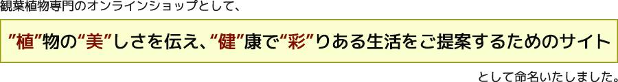 ”植”物の”美”しさを伝え、”健”康で”彩”りある生活をご提案するためのサイト"