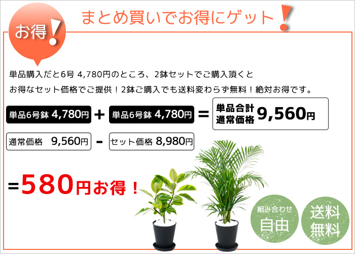 3300円 最新アイテム 観葉植物 4鉢セット 7号 6号 4号 3