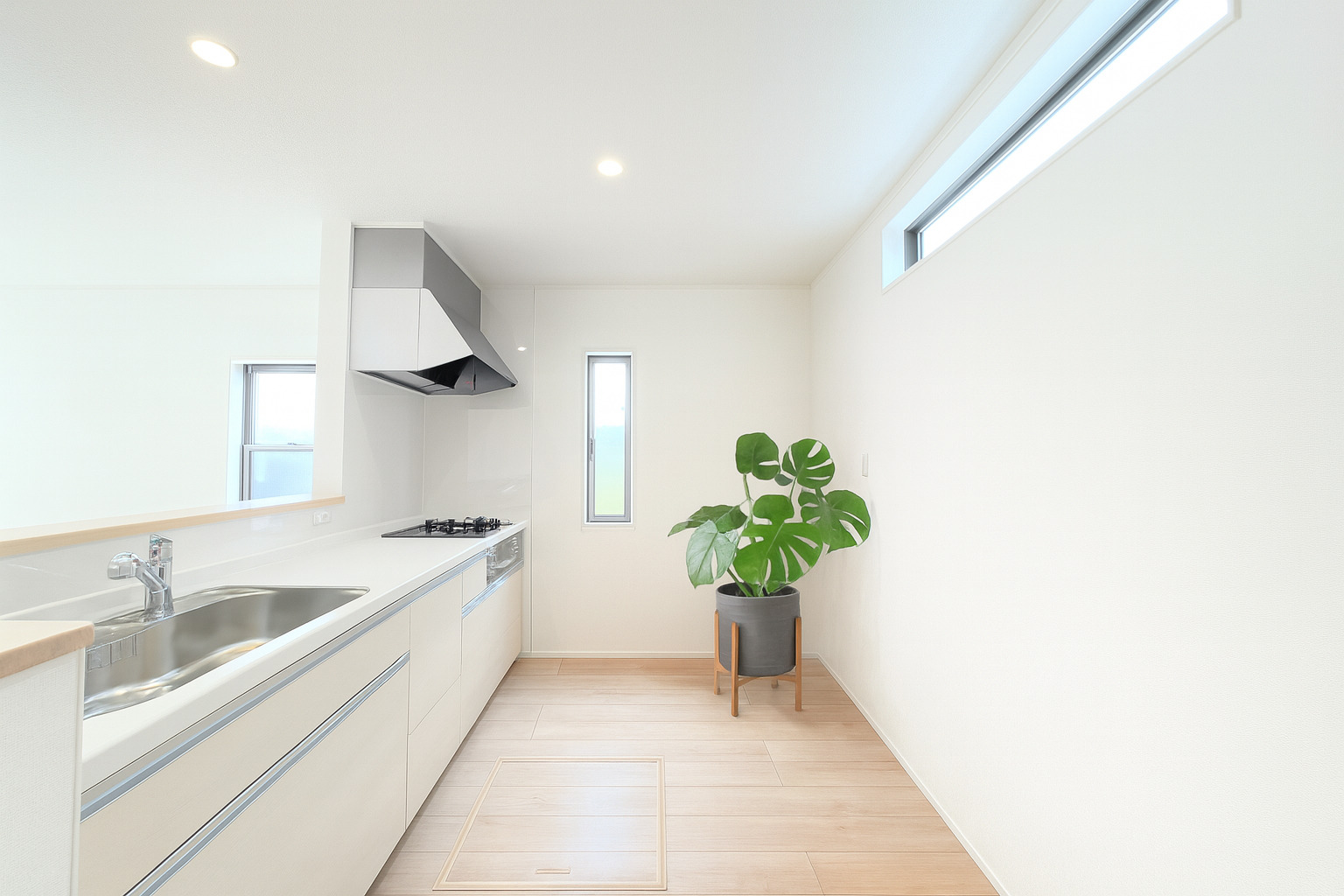 台所（キッチン）におすすめの観葉植物