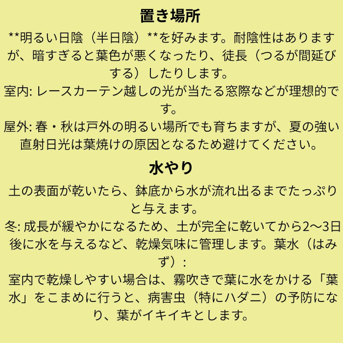 ヘデラ