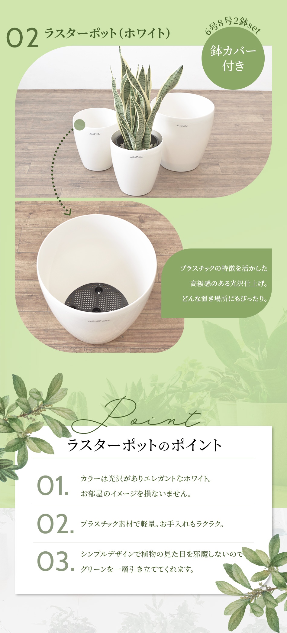 観葉植物 2鉢セット 大きさ違いの植物 お得なセット♪ 選べる２サイズ、まとめ買い！ 8号+6号鉢植物