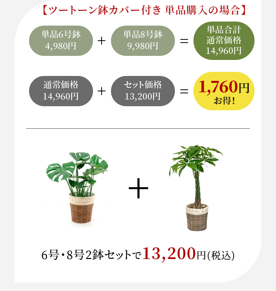 正規通販 まとめ 日本ハム 九州産黒豚 ハムギフト TKB-410 送料無料 返品不可 fucoa.cl