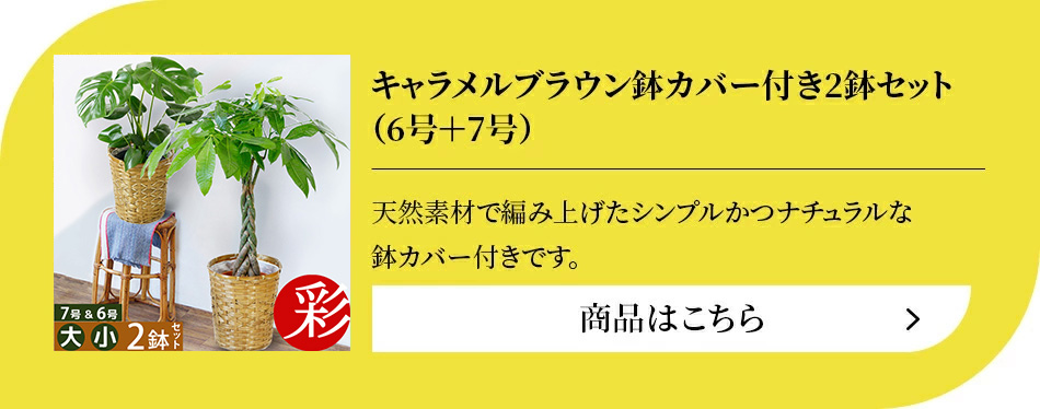 ハンドメイ kimihiro 2個セットの通販 by hiro's shop｜ラクマ plants