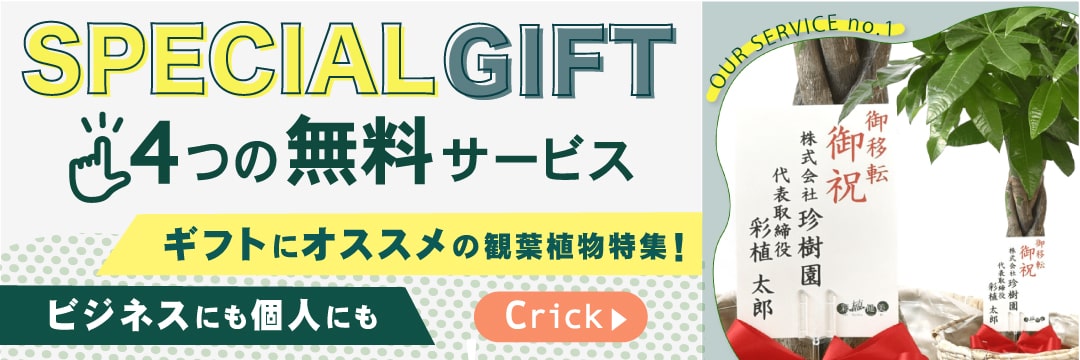 おすすめギフト特集