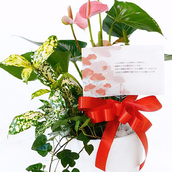 お客さま対応力No.1を目指し、次々とサービスを強化！ギフトにも安心