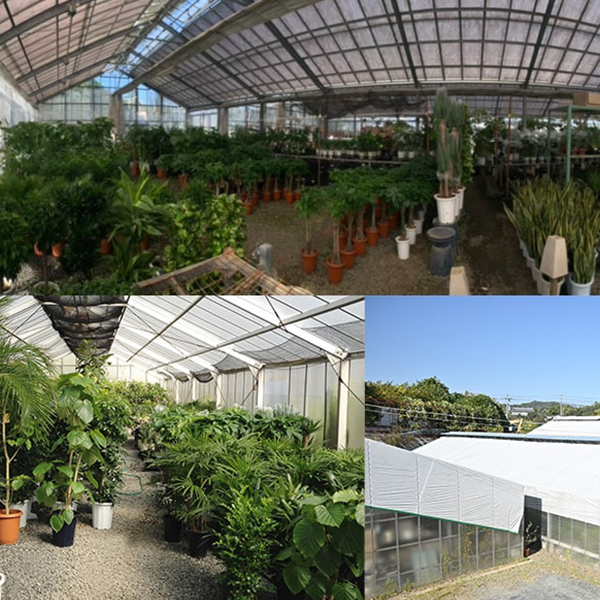 3つの温室で3通りの環境作り、24時間対応可能な体制で管理