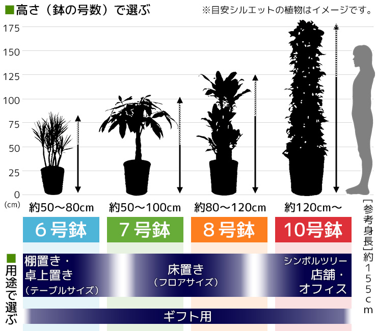 送料無料!プラスチック鉢観葉植物