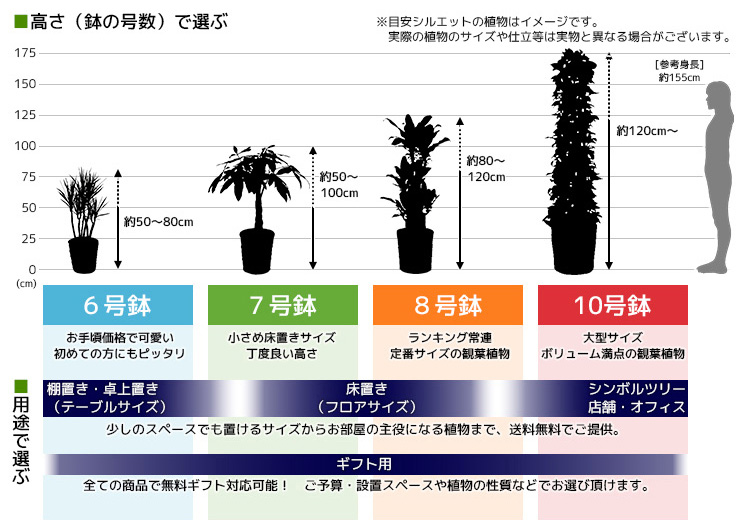 送料無料!プラスチック鉢観葉植物