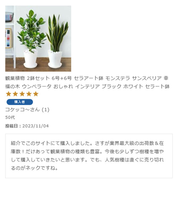 観葉植物 2鉢セット 6号+6号 セラアート鉢 モンステラ サンスベリア 幸福の木 ウンベラータ おしゃれ インテリア ブラック ホワイト セラート鉢