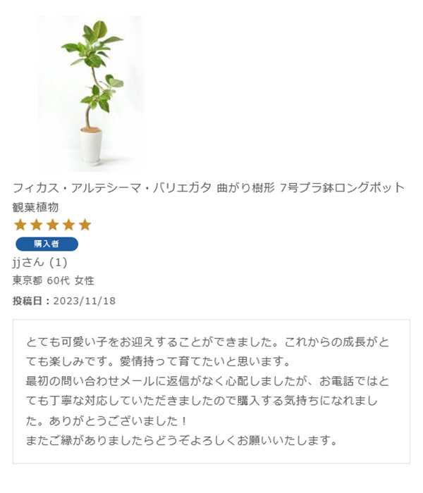 アルテシーマ