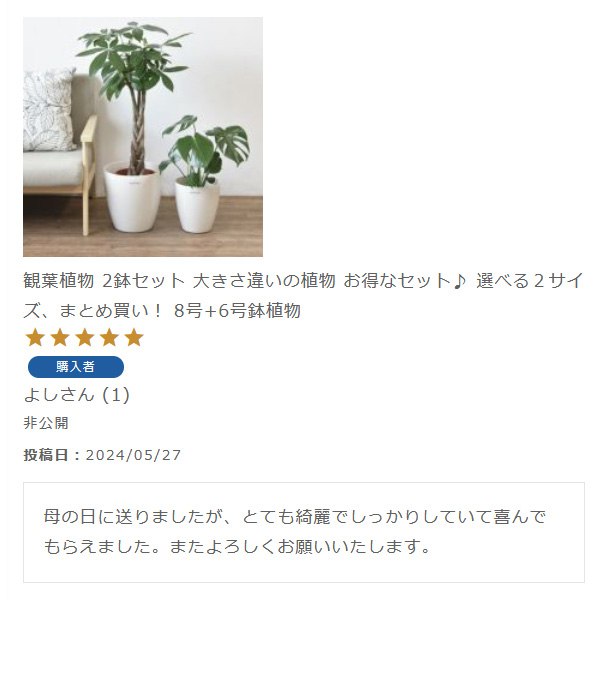 観葉植物 2鉢セット 大きさ違いの植物 お得なセット♪ 選べる２サイズ、まとめ買い！ 8号+6号鉢植物