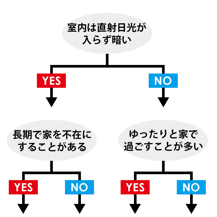 YES or NO 植物診断チャート