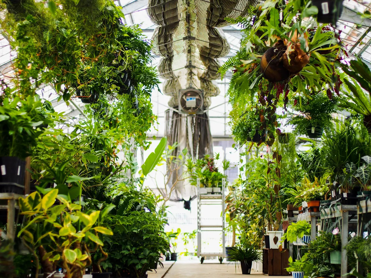 高島屋植物園