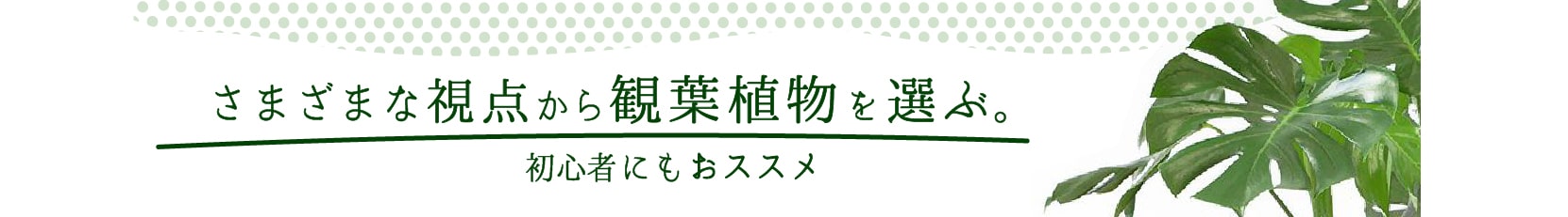 植物の選び方