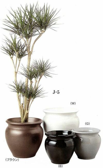 観葉植物用資材 通販 陶器　鉢カバー ジュネスJ-5 10号鉢用 KB200002