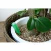 観葉植物用資材 通販 肥料と活力剤の 植物あんしんイキイキセット G010001