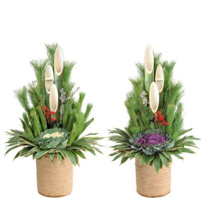 門松の販売・通販は 観葉植物の専門店 彩植健美 へ