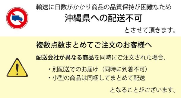 モンステラ 6号鉢 鉢カバー付 観葉植物