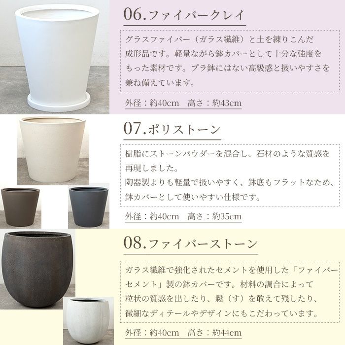 ポトス ヘゴ仕立て 10号鉢 選べる鉢カバー付き 観葉植物