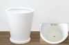 観葉植物 通販 ユッカ・ エレファンティペス 10号鉢 陶器（ファイバークレイ）鉢カバー付 KM230001