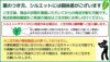 観葉植物 通販 フィカス・アルテシーマ・バリエガタ 8号鉢 曲がり樹形 RG080012