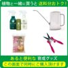 観葉植物 通販 送料無料 大型 6号＋7号 鉢カバー付 セット モンステラ サンスベリア パキラ OT100005