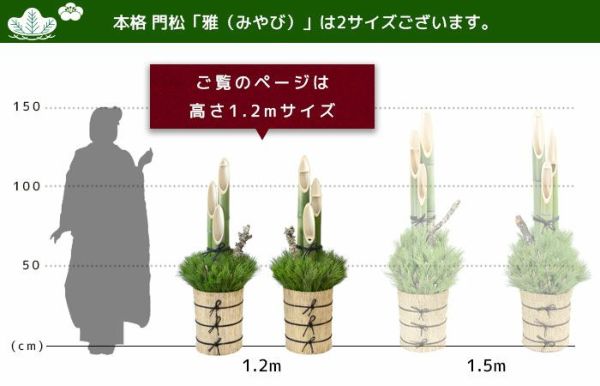 本格 門松「雅（みやび）」 【関東向け】 （一対・左右2台分） 高さ1.2m