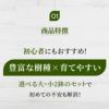 観葉植物 通販 6号+8号2鉢セット2種類から選べる鉢カバー付き大きさ違いの植物 お得なセット♪ 選べる２サイズ、まとめ買い！8号+6号鉢植物