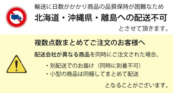 フィカス・アルテシーマ・バリエガタ 10号鉢 （曲がり樹形） 観葉植物