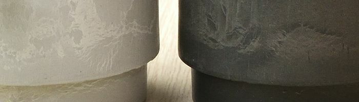 観葉植物 通販 選べる ミニ観葉植物2カラーマットポット ホワイト＆ブラックガジュマル ポトス サンスベリアペペロミア シュガーバイン