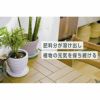 MY PLANTS 長く丈夫に育てるタブレット 約170錠 住友化学園芸