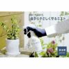 MY PLANTS 虫からやさしく守るミスト 殺虫剤 スプレー 250ml 住友化学園芸