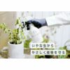 MY PLANTS 虫からやさしく守るミスト 殺虫剤 スプレー 250ml 住友化学園芸