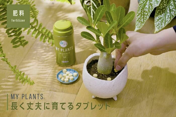 MY PLANTS ケアシリーズ５点セット
