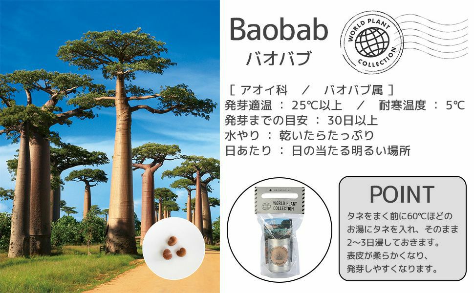 世界の植物 栽培セット world plant collection