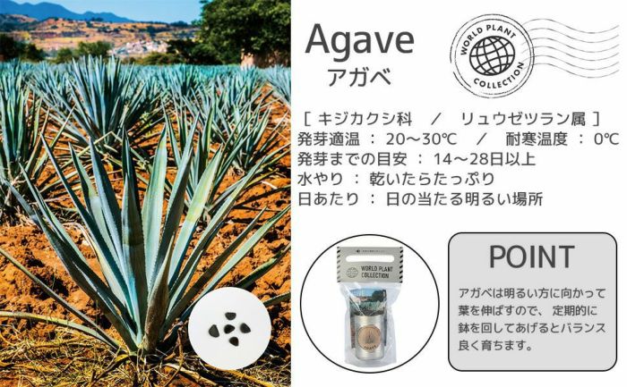 世界の植物 栽培セット world plant collection