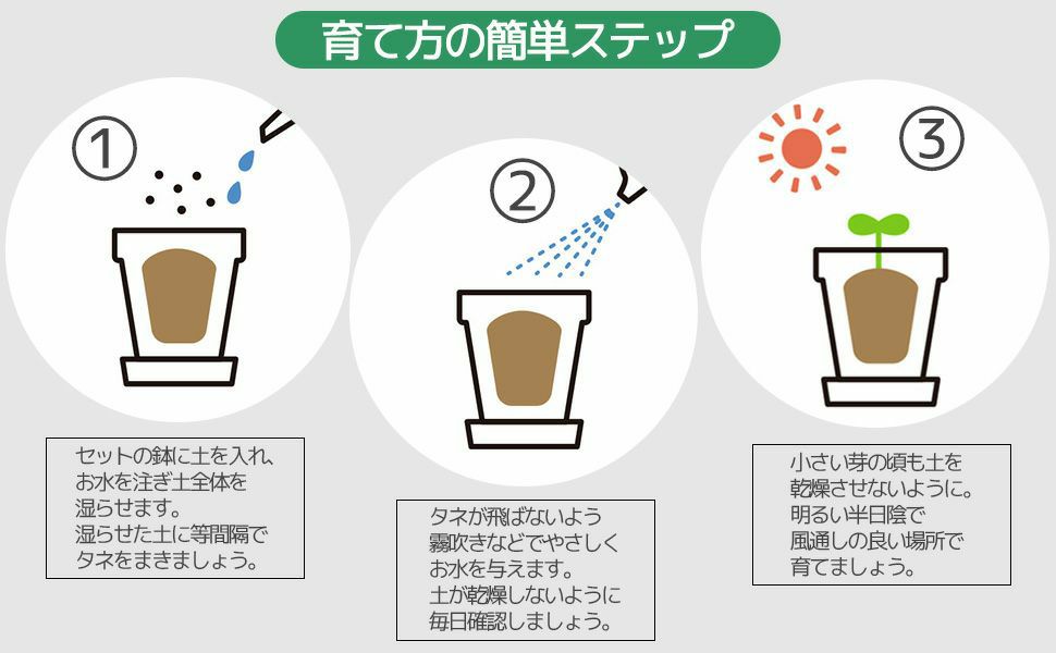 世界の植物 栽培セット world plant collection