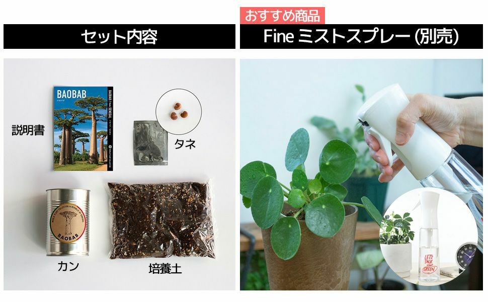 世界の植物 栽培セット world plant collection