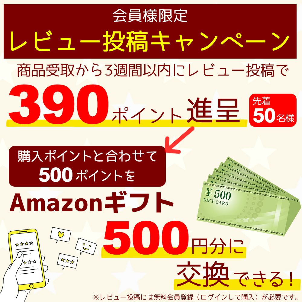観葉植物 数量限定 フィカス・アルテシーマ ナチュラルバスケットカバー付
