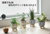 選べる ミニ 観葉植物 卓上 脚付き2パターンセメントポット