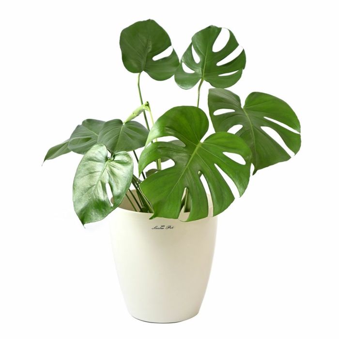 ラスターポット 6号鉢用 鉢カバー