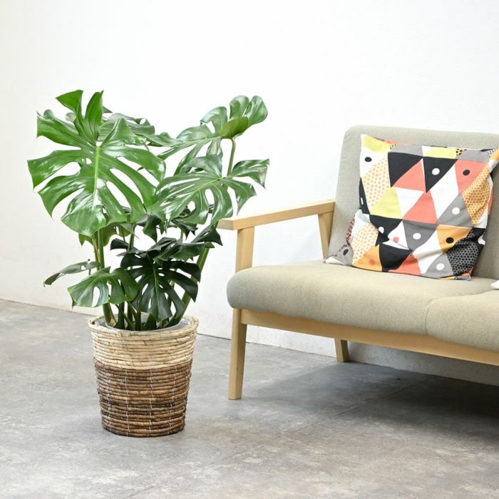 ツートーン鉢カバー 7号用