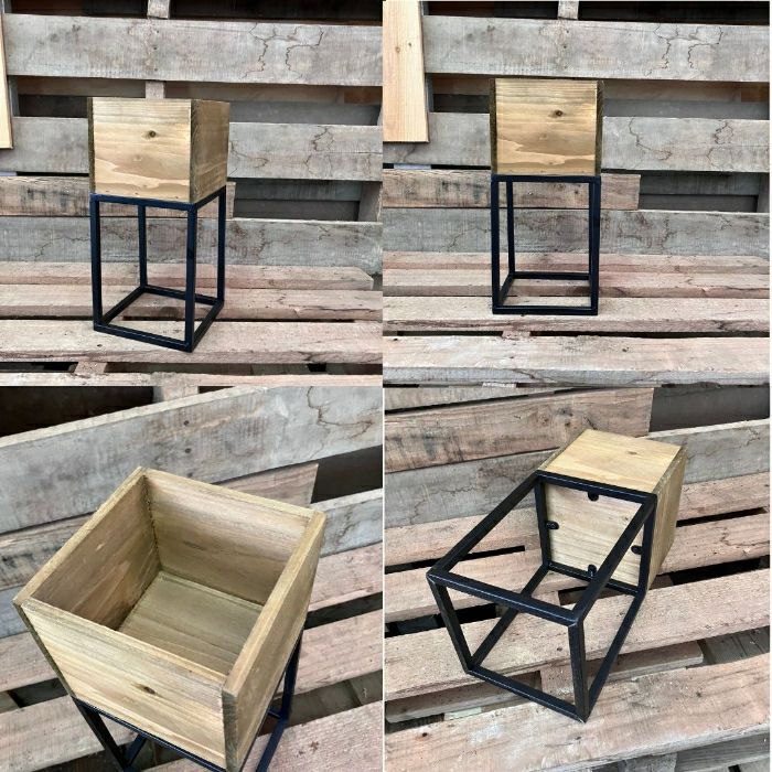 観葉植物現品販売