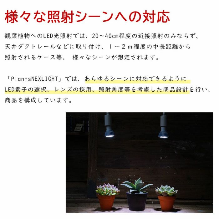 ミニ観葉植物用育成ライト PLANTS NEXLIGHT PAR16 LED電球 E17口金用 小型
