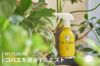  MY PLANTS コバエを退治するミスト 不快害虫殺虫剤 スプレー 250ml 住友化学園芸